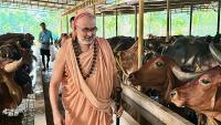H.H. Swamiji's visit to Kamadhenu Goshala, Nencharu, Brahmavara (15 April 2026)
